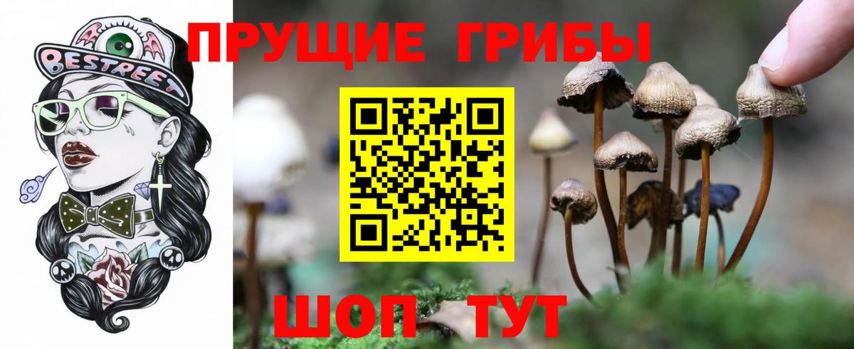 Псилоцибиновые грибы Cubensis  Вход с VPN  Лыткарино 